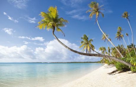 martinique