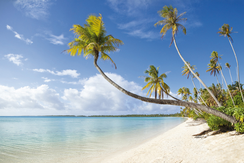 Professionnel pour déménagement vers les Antilles (Guadeloupe, Martinique, Saint-Martin)